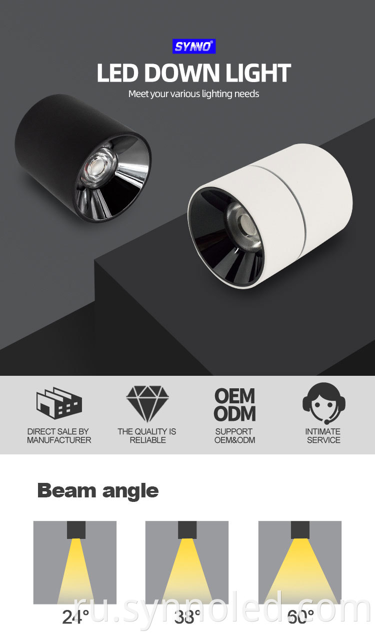 Black White Color Surface Mounted Downlight